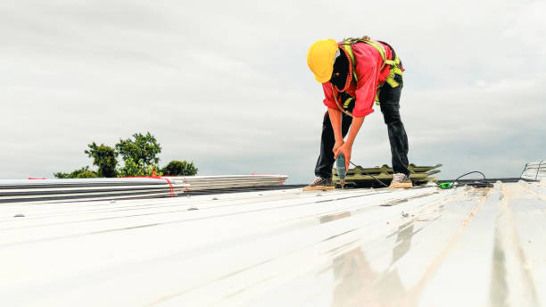 Best Sheet Metal Roofing  in Shorewood, MN