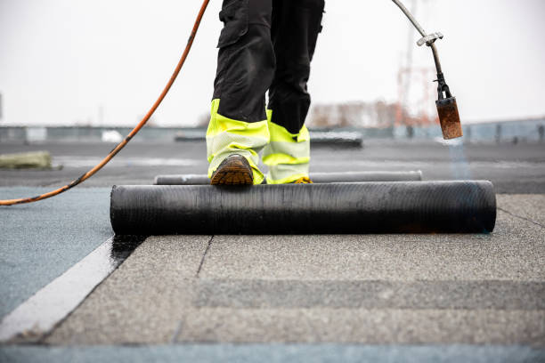 Professional Roofing service in Shorewood, MN