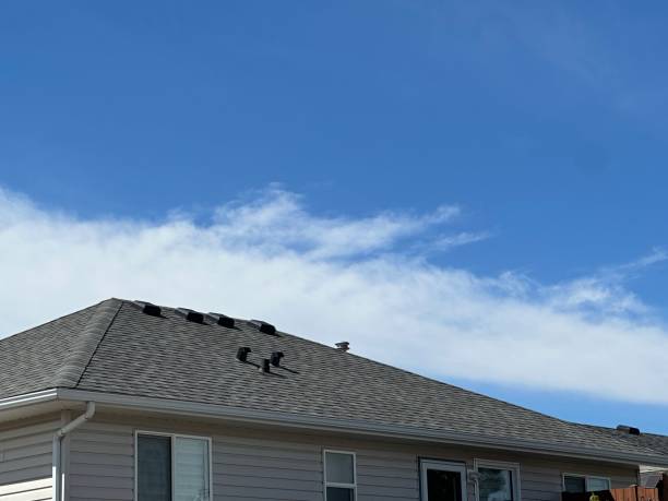 Best Green or Eco-Friendly Roofing Solutions  in Shorewood, MN